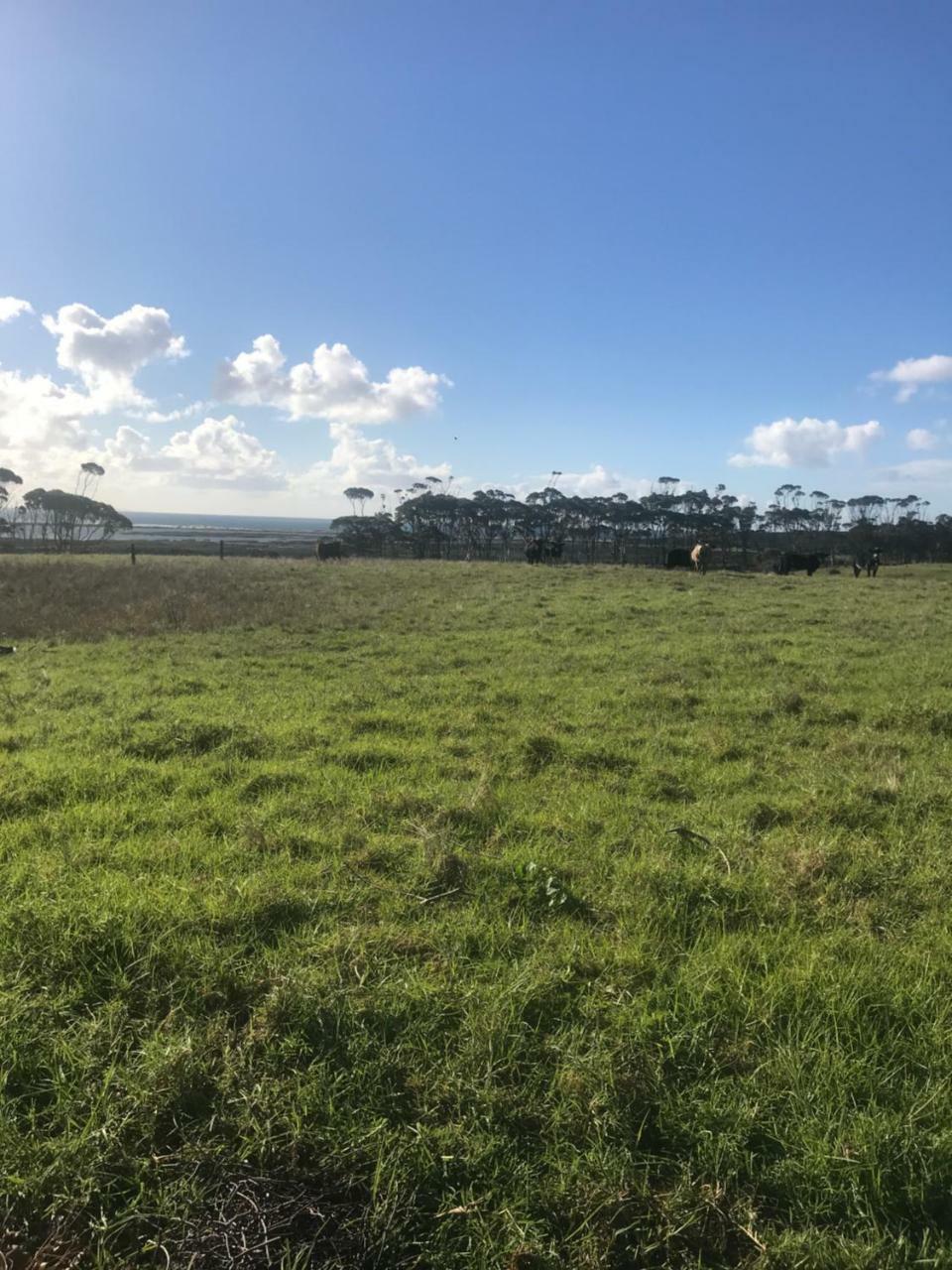 Tokerau Beach Karikari Lodge מראה חיצוני תמונה